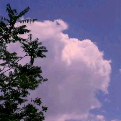 锻造幻想汉化版手游下载